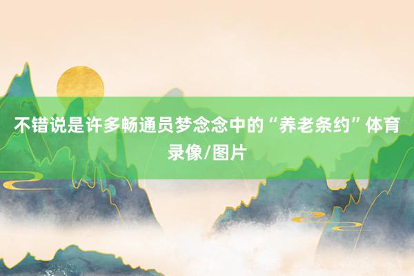 不错说是许多畅通员梦念念中的“养老条约”体育录像/图片