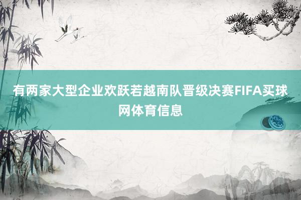 有两家大型企业欢跃若越南队晋级决赛FIFA买球网体育信息