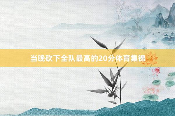 当晚砍下全队最高的20分体育集锦