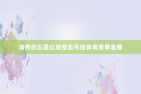 清秀的五星红旗整皆吊挂体育赛事直播