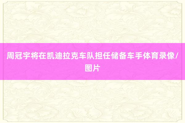 周冠宇将在凯迪拉克车队担任储备车手体育录像/图片