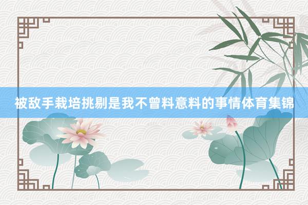被敌手栽培挑剔是我不曾料意料的事情体育集锦