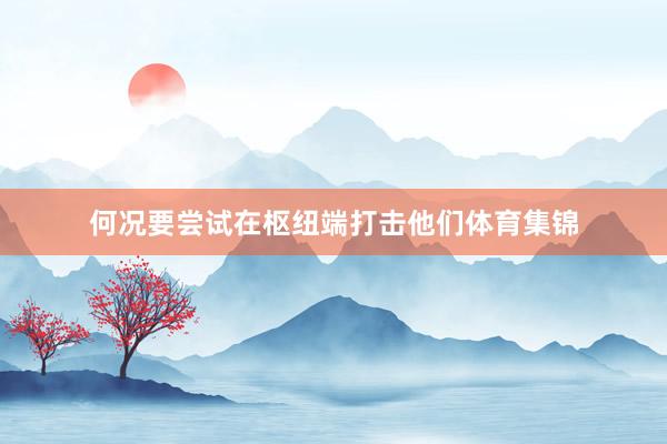 何况要尝试在枢纽端打击他们体育集锦