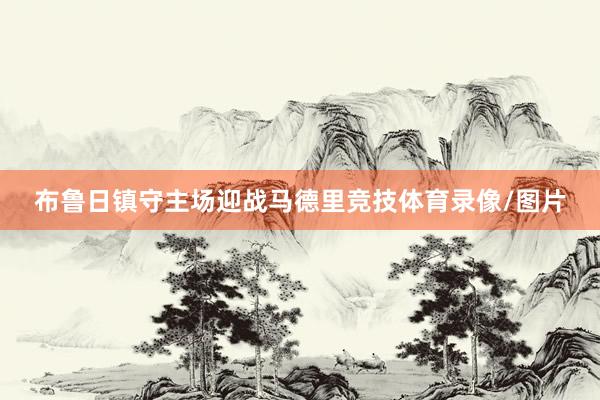 布鲁日镇守主场迎战马德里竞技体育录像/图片