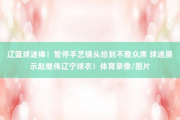 辽篮球迷棒！暂停手艺镜头给到不雅众席 球迷展示赵继伟辽宁球衣！体育录像/图片