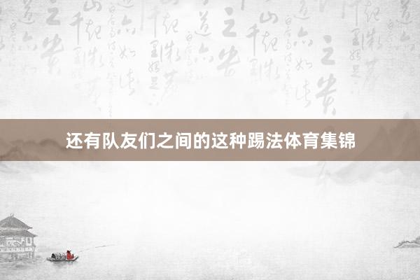 还有队友们之间的这种踢法体育集锦