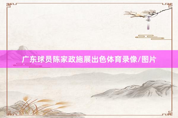 广东球员陈家政施展出色体育录像/图片