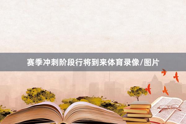 赛季冲刺阶段行将到来体育录像/图片