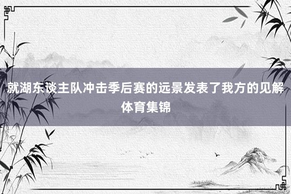 就湖东谈主队冲击季后赛的远景发表了我方的见解体育集锦