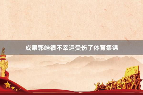 成果郭皓很不幸运受伤了体育集锦
