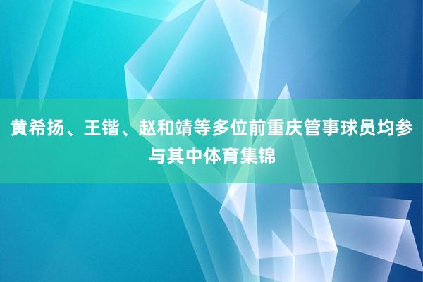 黄希扬、王锴、赵和靖等多位前重庆管事球员均参与其中体育集锦