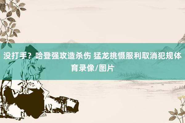没打手？哈登强攻造杀伤 猛龙挑慑服利取消犯规体育录像/图片