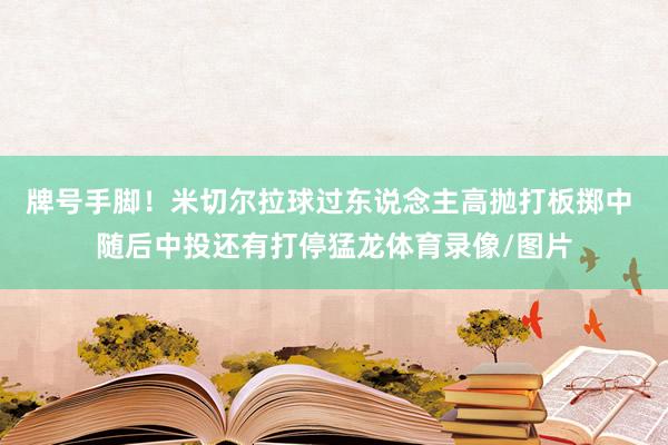 牌号手脚！米切尔拉球过东说念主高抛打板掷中 随后中投还有打停猛龙体育录像/图片