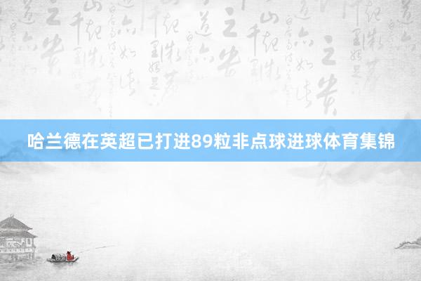 哈兰德在英超已打进89粒非点球进球体育集锦