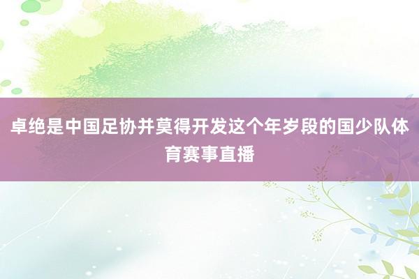 卓绝是中国足协并莫得开发这个年岁段的国少队体育赛事直播