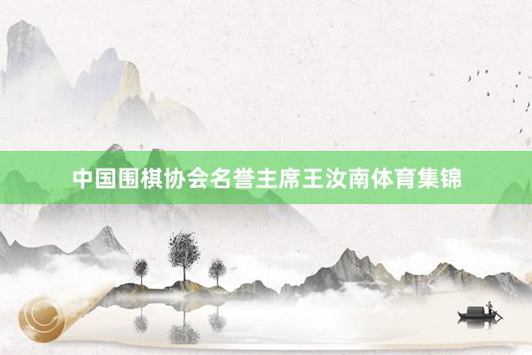 中国围棋协会名誉主席王汝南体育集锦
