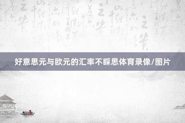好意思元与欧元的汇率不睬思体育录像/图片