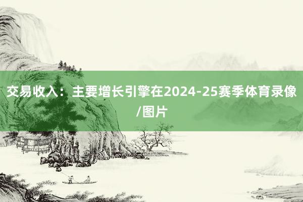 交易收入：主要增长引擎在2024-25赛季体育录像/图片