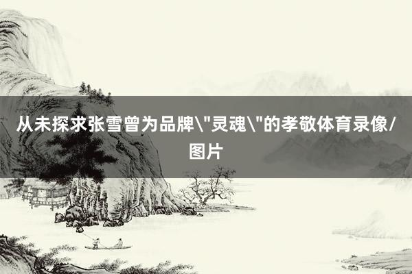 从未探求张雪曾为品牌
