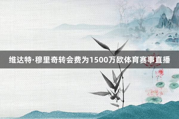 维达特·穆里奇转会费为1500万欧体育赛事直播